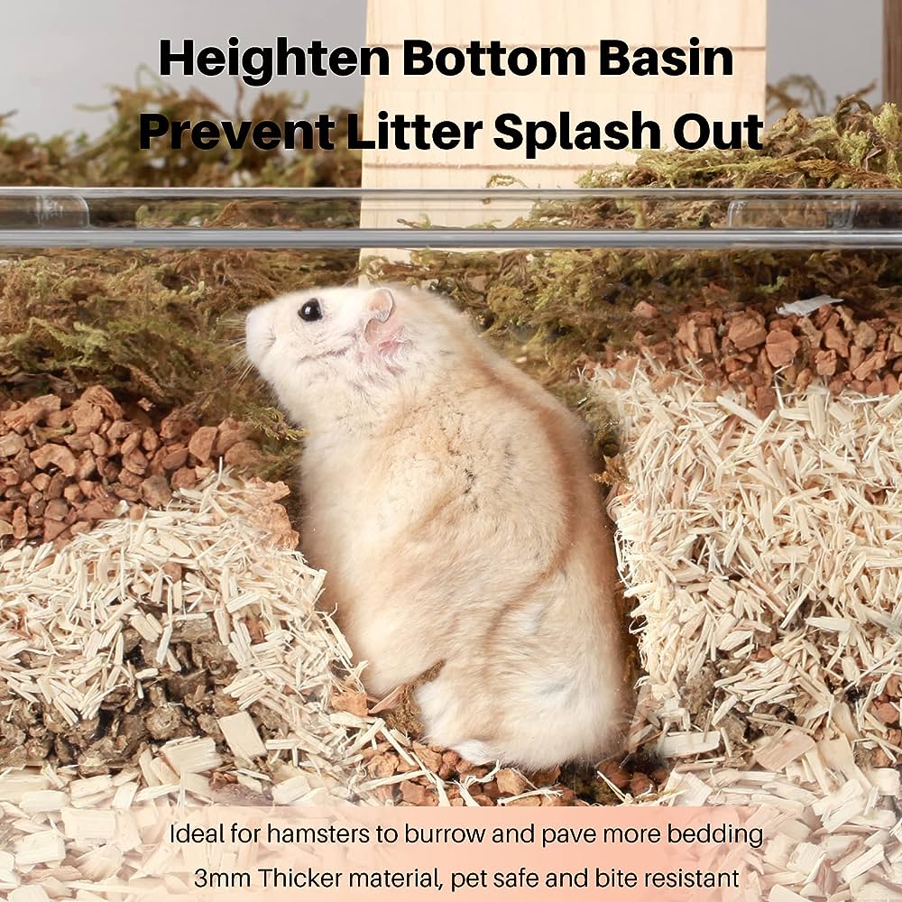 Happy and healthy Russian Dwarf Hamster in a well-equipped cage