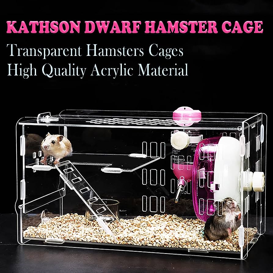 Cute dwarf hamster in a small but well-equipped habitat